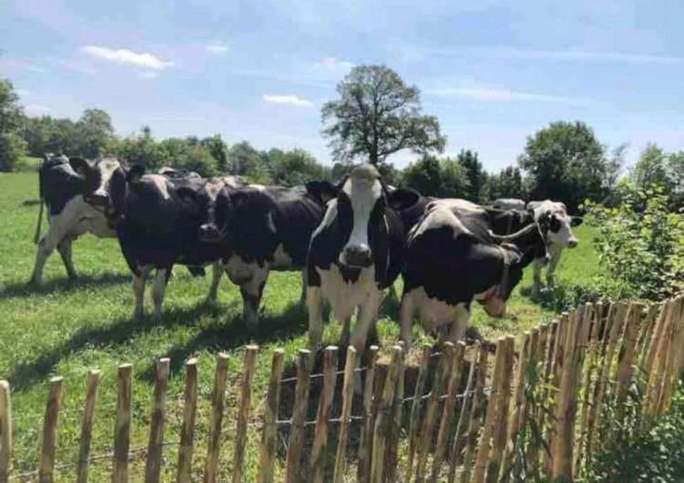 Statige Boerderijwoning Met Vrij Uitzicht En Tuin Hoogzand Exterior foto